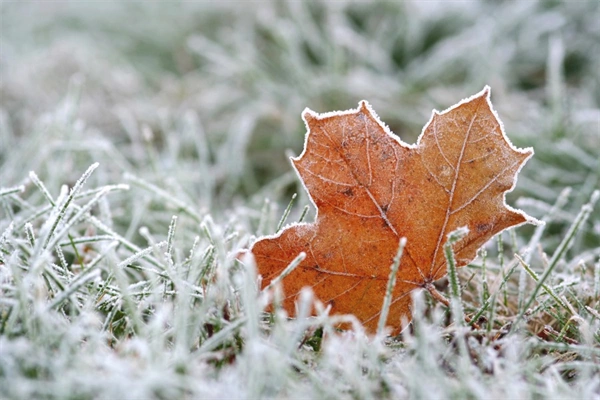 Denver weather: The first hard freeze of the season