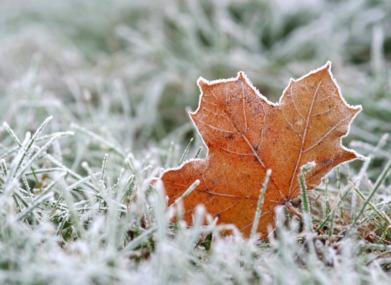 Denver weather: The first hard freeze of the season