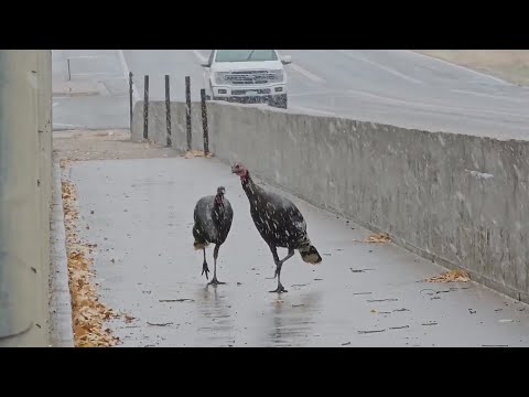 Roads go from wet to snowy in Colorado foothills, conditions in mountains...