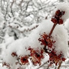 Denver could see first snow Sunday night, plus more next week