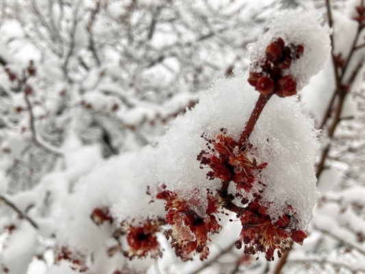 Denver could see first snow Sunday night, plus more next week