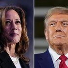 Which celebrities have endorsed Kamala Harris or Donald Trump?