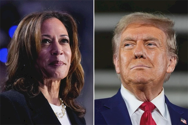 Which celebrities have endorsed Kamala Harris or Donald Trump?