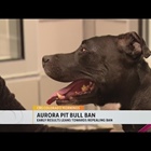 Early results show that voters in Aurora want to repeal the pit bull ban