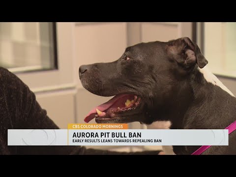 Early results show that voters in Aurora want to repeal the pit bull ban