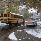 Colorado driver helps stop hit-and-run suspect wanted in school bus crash