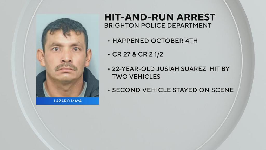 Brighton police arrest suspect driver in hit-and-run from Oct. 4