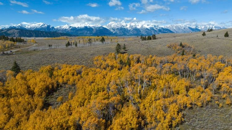 Wyoming moves ahead with selling land in Grand Teton National Park to federal...