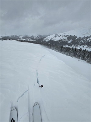 Avalanche danger moves to moderate throughout most of Colorado after recent snowfall