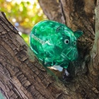 Green piggy banks are being hidden around Denver with a surprise voucher inside