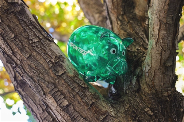 Green piggy banks are being hidden around Denver with a surprise voucher inside