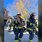 Roofers help crews rescue 2 dogs from 2-alarm fire in Fort Collins