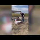 Prairie dogs to be euthanized at Longmont park for new turf fields; residents upset