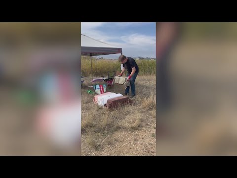 Prairie dogs to be euthanized at Longmont park for new turf fields;...