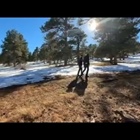 Big open space park in Colorado foothills reopens after wildfire mitigation project