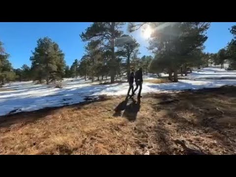 Big open space park in Colorado foothills reopens after wildfire mitigation project