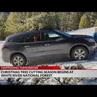 Christmas tree cutting season begins in White River National Forest