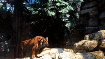 
      
        Petition Pushing to Free Tigers From Denver Downtown Aquarium
      
    