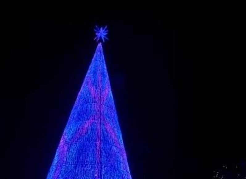 Mile High Tree gets lit up for the season in Denver