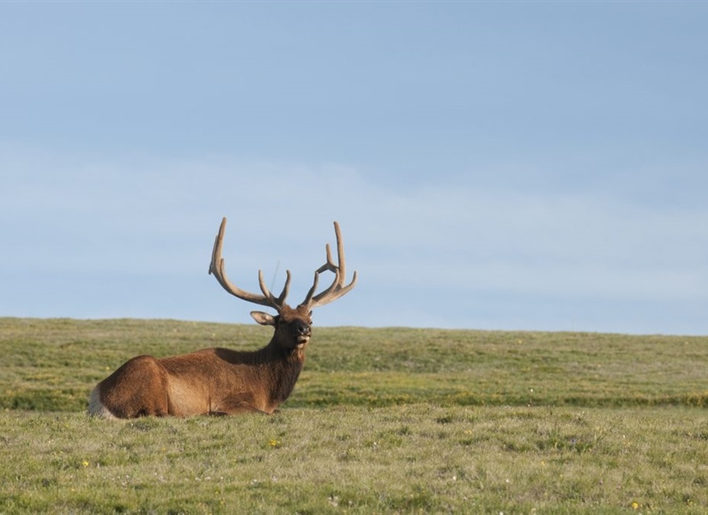 What is one of Colorado’s most ‘Instagrammable’ tourist attractions?